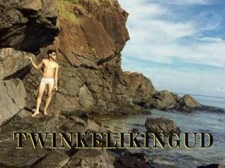 TWINKELIKINGUD
