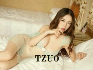 TZUO Films 2 Q