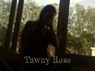 Tawny_Rose