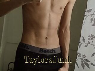 TaylorsJunk
