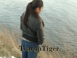 TeacupTiger Films 2 Q