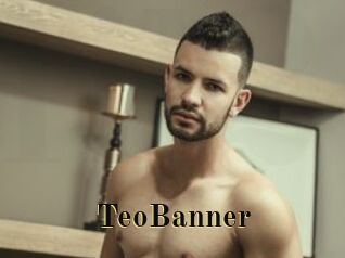 TeoBanner