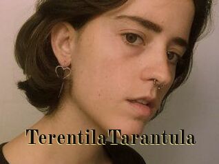 TerentilaTarantula