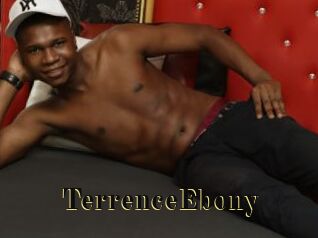 TerrenceEbony Films 2 Q