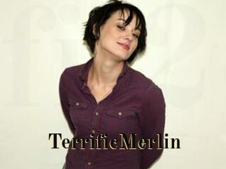 TerrificMerlin