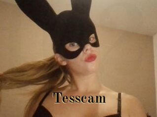 Tesscam