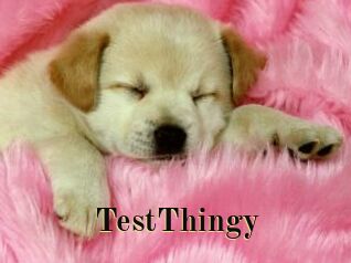TestThingy