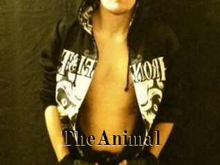 TheAnimal Films 2 Q