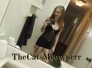 TheCatsMeowprrr