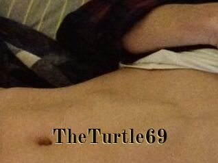 TheTurtle69