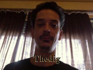 Thedig