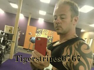 Tigerstripes6767