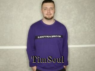 TimSoul
