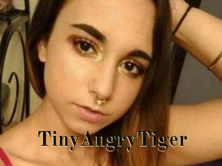 TinyAngryTiger