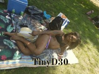 TinyD30