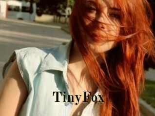 TinyFox