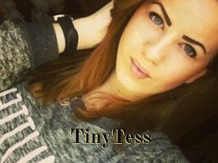 TinyTess