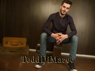 ToddDiMarco