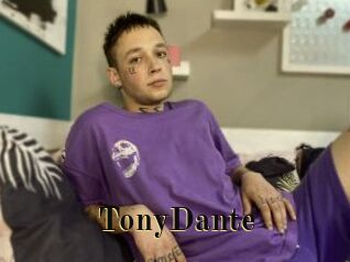 TonyDante Films 2 Q