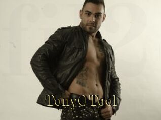 TonyOTool Films 2 Q