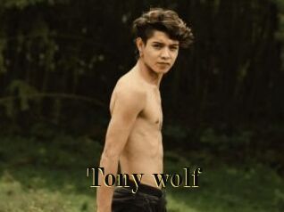 Tony_wolf
