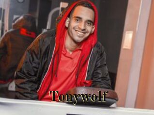 Tonywolf Films 2 Q