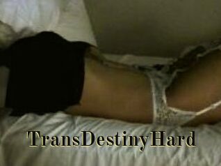 TransDestinyHard Films 2 Q