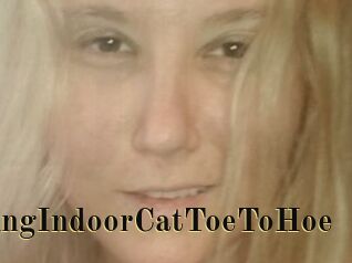 TravellingIndoorCatToeToHoe
