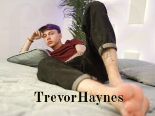 TrevorHaynes Films 2 Q