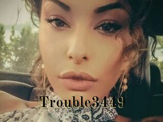 Trouble3449