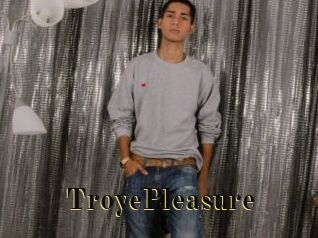 TroyePleasure Films 2 Q