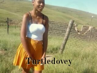Turtledovey