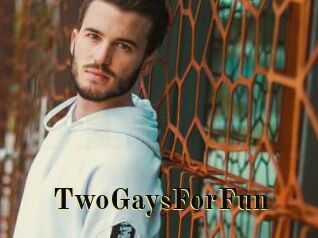 TwoGaysForFun