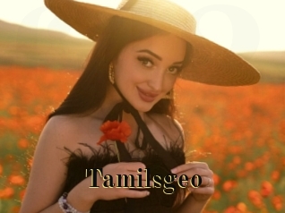 Tamilsgeo