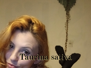 Taurina_sativa