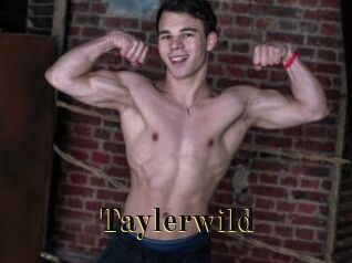 Taylerwild