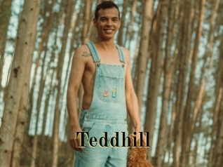 Teddhill