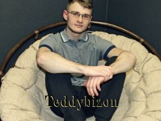 Teddybizon