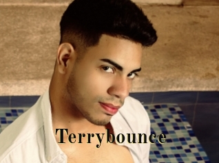 Terrybounce