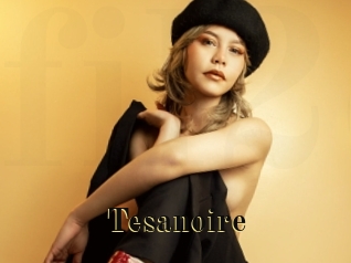 tesanoire Films 2 Q