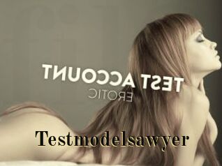 Testmodelsawyer