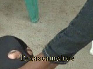 Texascameltoe