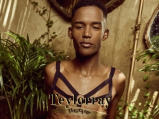 teylorray Films 2 Q