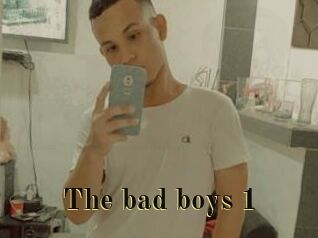 The_bad_boys_1