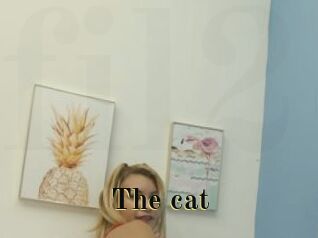 The_cat