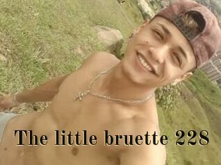 The_little_bruette_228