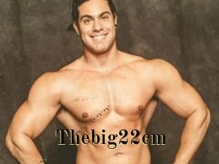 Thebig22cm