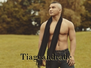 tiagoandrade Films 2 Q