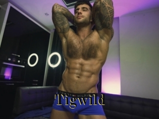 tigwild Films 2 Q