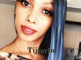 Tijgerin